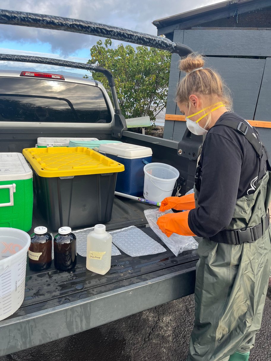 Initial Postfire Water Quality Results for Lāhainā, Maui